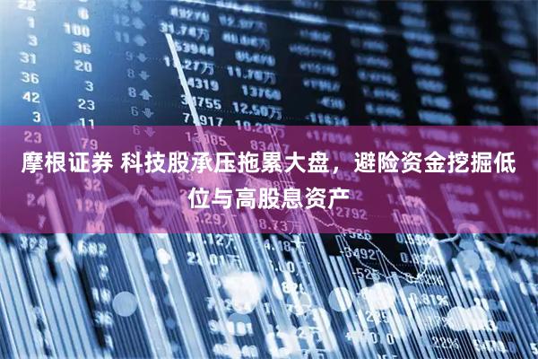 摩根证券 科技股承压拖累大盘,避险资金挖掘低位与高股息资产