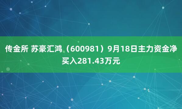 传金所 苏豪汇鸿（600981）9月18日主力资金净买入281.43万元